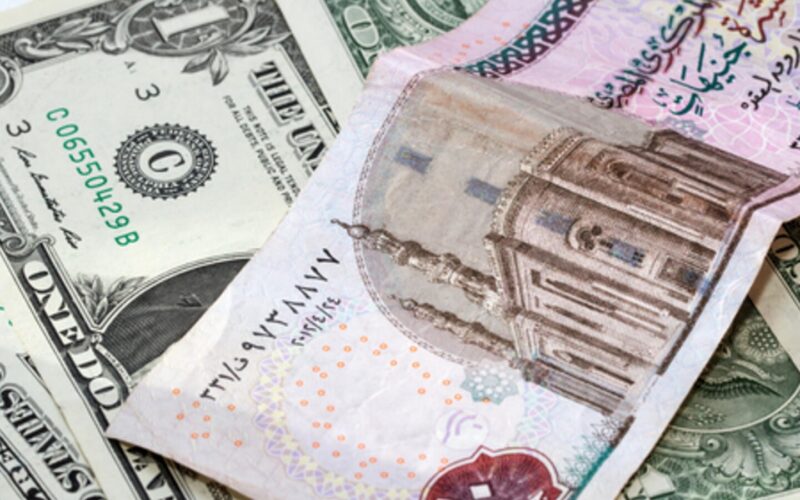 سعر الدولار في السوق السودة والبنوك المصرية اليوم الخميس 21/3/2024