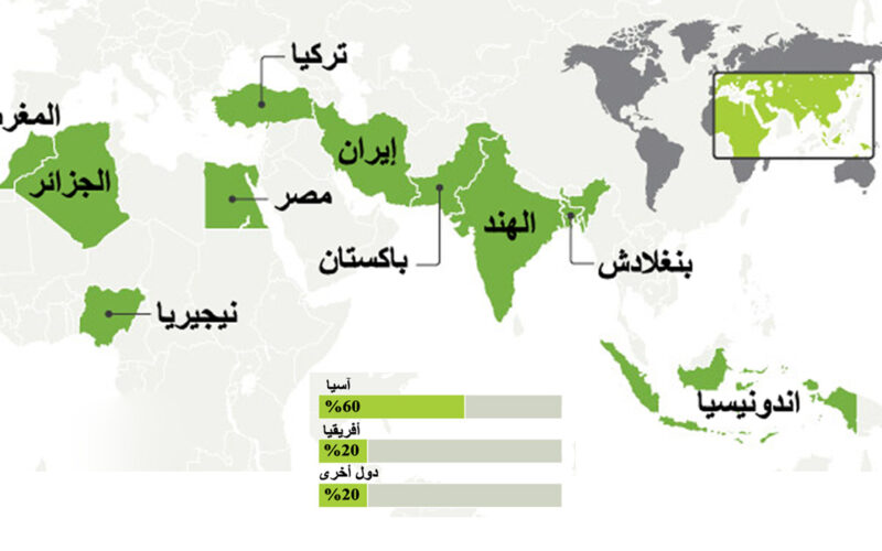 كم يبلغ عدد سكان العالم العربي والاسلامي